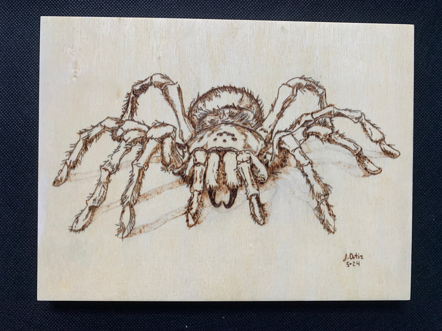 Spider